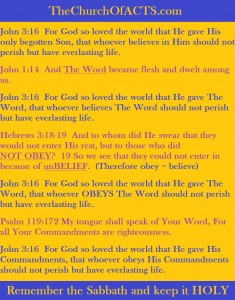 John3-16John1-14Psalm119-172Hebrews3-18-19