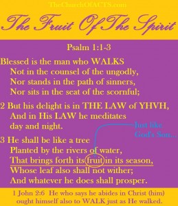 Psalm1-1-3and1John2-6Galatians5-22Ephsians5-9