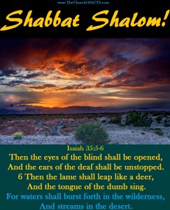 Shabbat Shalom!  Desert Places Rejoice!