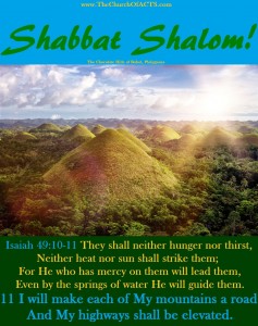 Shabbat Shalom!  When We See Him We Shall Be Like Him