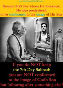 Romans 8:28  Be Conformed To The EXACT Image Of Messiah!