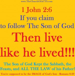 TheSonsImageLiveLikeHeLived1John2-6Romans8-29