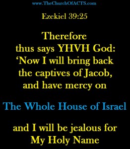 TheWholeHouseOfIsrael