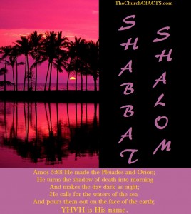 Shabbat Shalom!  What Is A True Witness?