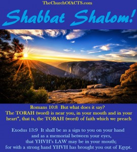 Shabbat Shalom!  Study To Show Yourself Approved