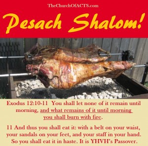 Pesach Shalom!  Born Again By YHVH’s Spirit