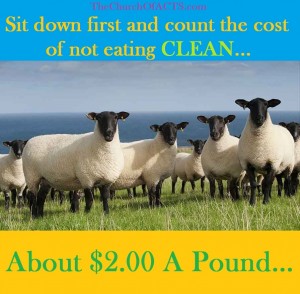 CLEAN Grassfed Lamb Is CHEAP!