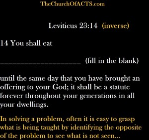 Leviticus 23-14 2