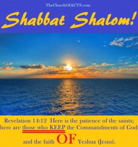Lay Hold Of The Faith Of Yeshua And DO IT