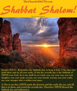 Shabbat Shalom!  Keep Torah And Be Like Him!
