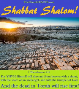 Shabbat Shalom, The Dead In Torah Will Rise First!