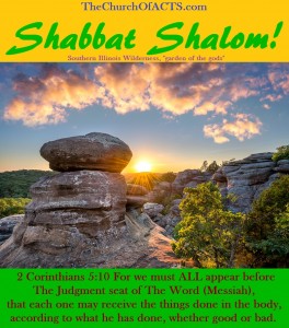 Shabbat Shalom! – EVERYONE Submits To The Judgment