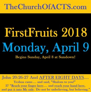 Yeshua Was And We ARE FirstFruits On The 8th Day! – PT2