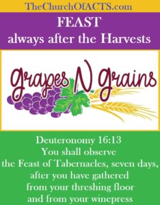 Tabernacles/Sukkot Does Not Begin Until The Wine And Grain Harvests Are COMPLETE!